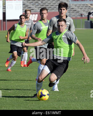 Usa. 10th Aug, 2014. SPORTS -- UNM soccer player Josh Goss races for the ball followed by Josh Dye, Ben McKendry, Lucas Seligman and Chris Wehan, front to back, during the Lobos' first practice of the season. © Greg Sorber/Albuquerque Journal/ZUMA Wire/17�Թ����� Live News Stock Photo