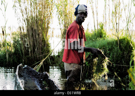 Fishing is a primary economic activity for families living in and around Bangweulu Wetlands, Zambia, including for this man. Stock Photo