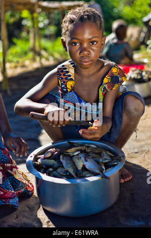 Fishing is a primary economic activity for families living in and around Bangweulu Wetlands, Zambia, including for kids. Stock Photo