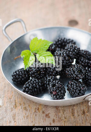 Fresh blackberries Stock Photo