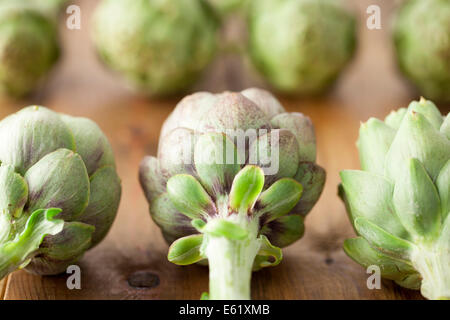 Globe Artichokes Stock Photo