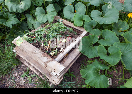 Garden compost heap with plant pumpkins Stock Photo