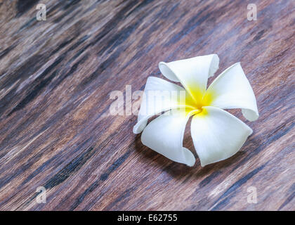 White and yellow frangipani flower on wooden floor Stock Photo