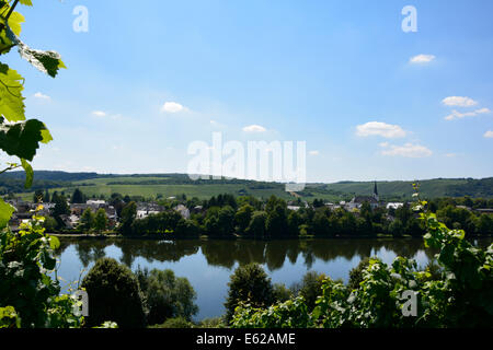 Longuich Moselle river valley vineyard landscape with blue sky Mosellandschaft Moseltal Römische Weinstrasse Germany Mosel Fluss
