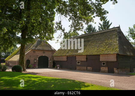 Traditional original Saxon farm wit a thatched roof in Gees (province Drenthe) in the Netherlands Stock Photo