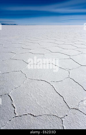 Salt hexagons. Salar de Uyuni. Bolivia Stock Photo