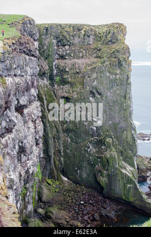 Seabird Cliffs at Latrabjarg Iceland LA007316 Stock Photo