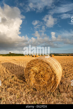 Hay bales in field under stormy sky with lightnings Stock Photo - Alamy