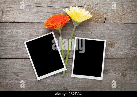 Two colorful gerbera flowers and photo frames on wooden table Stock Photo