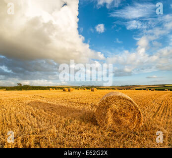 Hay bales under a blue sky near Padstow in Cornwall with wind turbines in the far distance Stock Photo