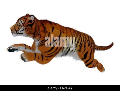 Digitally rendered big wild cat, red tiger, 3D Illustration Stock