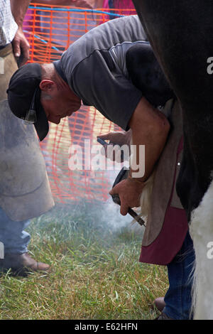 The Ellingham & Ringwood Agricultural Society Annual Show at Somerley Park, Ellingham, Ringwood, Hampshire, UK in August Stock Photo