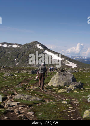 Hikers on a footpath across Valdresflya in Jotunheimen Norway, barren but inviting in the summer sun, heading for the National park Stock Photo