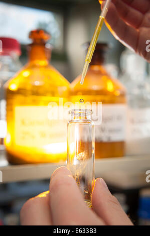 A laboratory worker using a pipette to fill a chemical liquid in a glass container Stock Photo