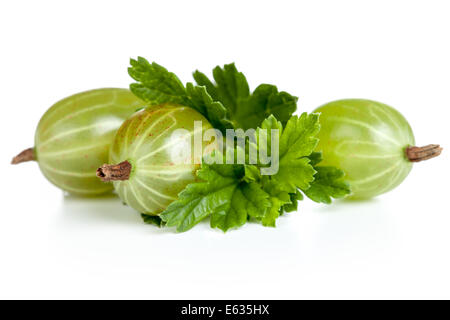 Green gooseberries with leaves on white background Stock Photo