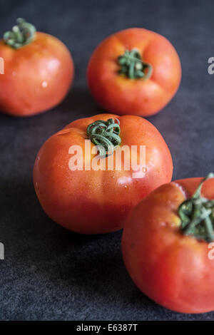Freshly picked and washed summer tomato's. Close up Stock Photo