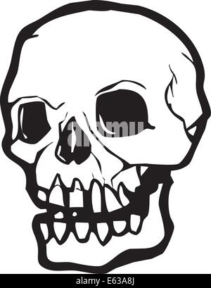 Black and white human skull vector illustration Stock Vector Image ...