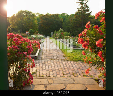 view of a garden through open doors Stock Photo