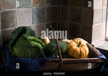 Selection of winter vegetables including savoy cabbage, broccoli, sweet lightning squash, in a trug harvesting basket Stock Photo