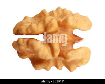 Birdview Single Walnut isolated on white background Stock Photo