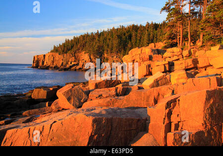 Sunrise, Otter Cliff, Acadia National Park, Maine, USA Stock Photo - Alamy