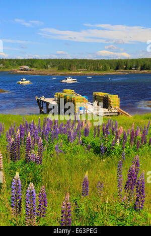 Bass Harbor, Mount Desert Island, Maine, USA Stock Photo