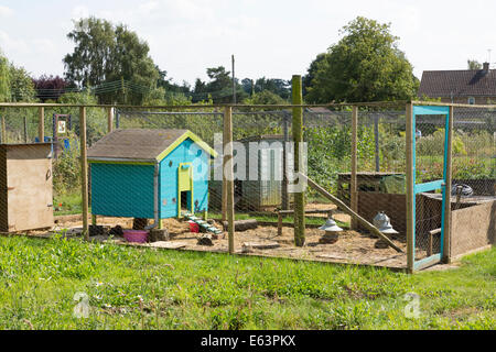 chicken run / pen in allotments at Walsham Le Willows, Suffolk, UK Stock Photo