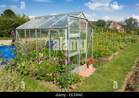 greenhouse on allotments at Walsham Le Willows, Suffolk, UK Stock Photo