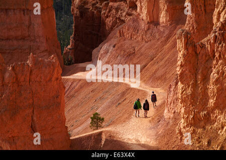 Hikers on Navajo Loop trail through hoodoos, Bryce Canyon National Park, Utah, USA Stock Photo