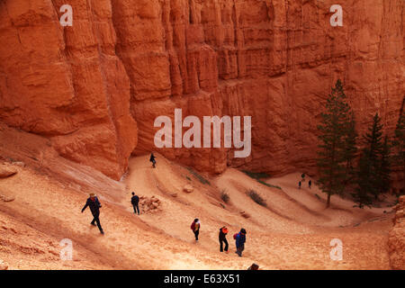 Hikers on zigzag section of Navajo Loop trail, Bryce Canyon National Park, Utah, USA Stock Photo