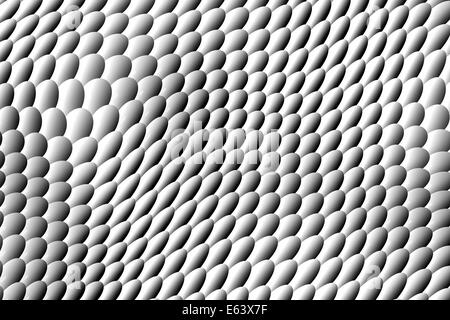 Reptile skin image of a nice skin background Stock Photo