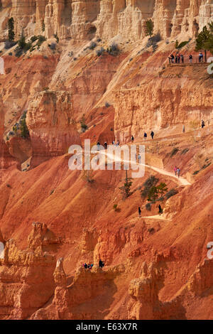 Hikers on Navajo Loop trail below Sunset Point, Bryce Canyon National Park, Utah, USA Stock Photo