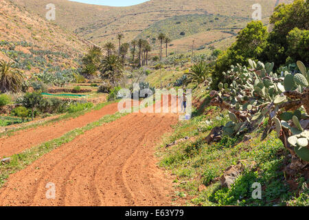 Betancuria Fuerteventura Canary Islands Spain Stock Photo