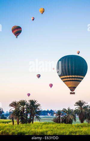 Hot air balloons flying over the West Bank of the Nile in Egypt at sunrise. Stock Photo