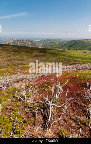 Moorland above Penmaenmawr North Wales coast looking towards Sychnant pass and the Great Orme Stock Photo
