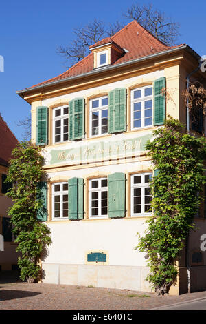 Weingut Reichsrat von Buhl vineyard estate, German Wine Route, Deidesheim, Rhineland-Palatinate, Germany Stock Photo