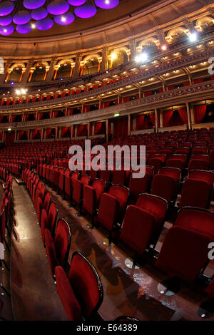 Royal Albert Hall interior, London Stock Photo - Alamy