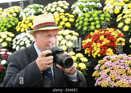 Flower Show vice chairman Ted Butcher taking photographs of the blooms. Shrewsbury Flower Show 2014 Stock Photo