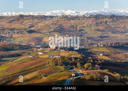 Vineyards & castle, Grinzane Cavour, Cuneo district, Langhe, nr Alba, Langhe, Piedmont (or Piemonte or Piedmonte), Italy Stock Photo