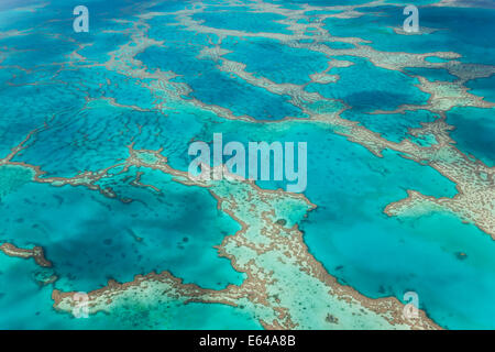 Great Barrier Reef, Queensland, Australia Stock Photo