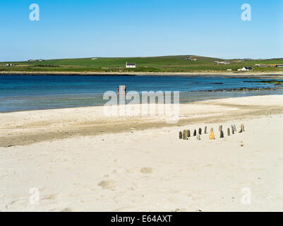 dh Bay of Skaill SANDWICK ORKNEY Standing stones children on sandy beach scotland dh Bay of Skaill SANDWICK ORKNEY Standing stones children on sandy beach scotland