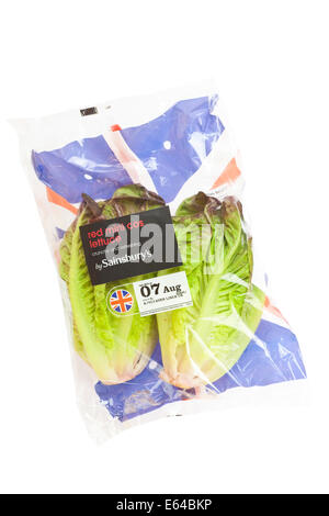Fresh whole red leaved mini cos lettuce Stock Photo