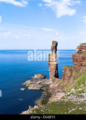 dh Old Man of Hoy HOY ORKNEY Red sandstone sea stack and seacliffs Atlantic coast Stock Photo