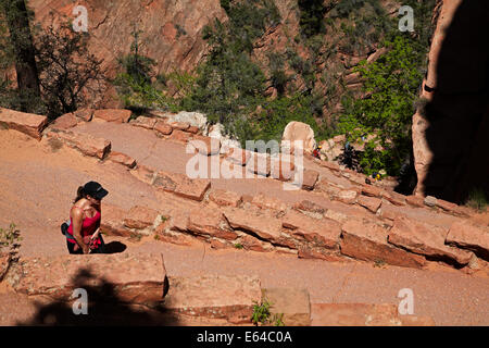 Hikers On Walter's Wiggles Zigzag, On West Rim Trail And Angels Landing ...