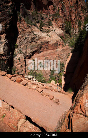 Walter's Wiggles On The Angels Landing Trail, Zion National Park, Utah ...