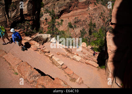 Hikers On Walter's Wiggles Zigzag, On West Rim Trail And Angels Landing ...