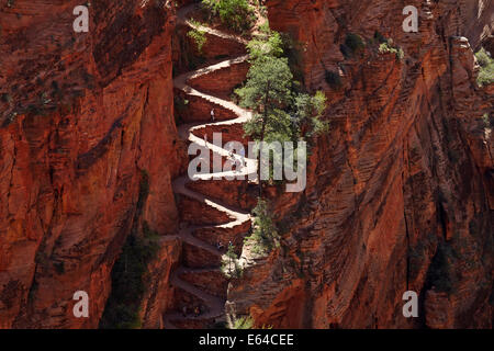 Hikers At Angels Landing Trail, Walters Wiggles Switchbacks Near Scout ...