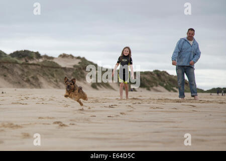 My families Border Terrier cross, he has a large personality and is filled with energy. Stock Photo