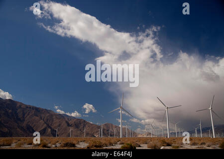 Wind Energy Windmills near Palm Springs, California, United States of America, USA Stock Photo