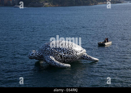 Sydney, NSW 2000, Australia. 15 August 2014. To celebrate the opening of World's first Undersea Art Exhibition at Sydney Aquarium a giant 15m floating sea turtle sculpture appeared on Sydney Harbour. Copyright Credit:  2014 Richard Milnes/Alamy Live News. Stock Photo